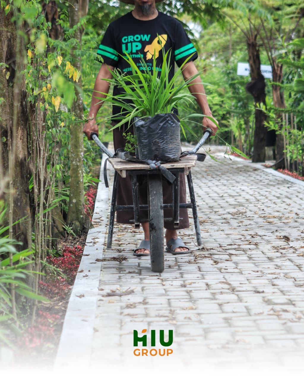 Kebun Herbal HIU Group